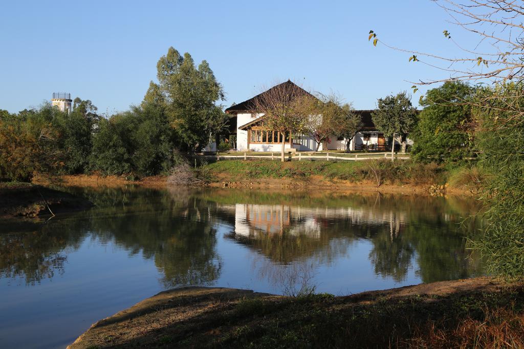 Ardea Purpurea Hotel Villamanrique De La Condesa Luaran gambar