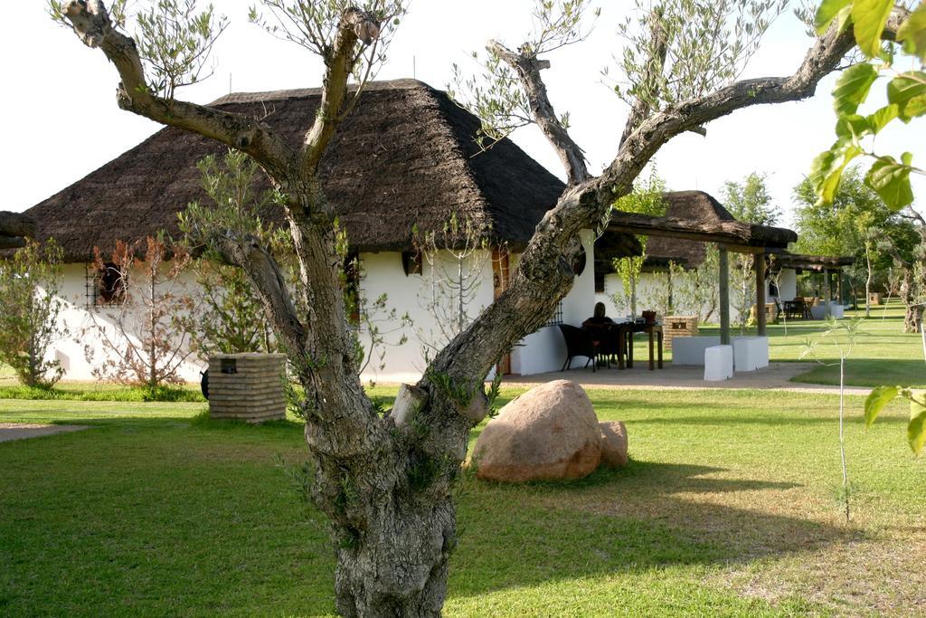 Ardea Purpurea Hotel Villamanrique De La Condesa Luaran gambar